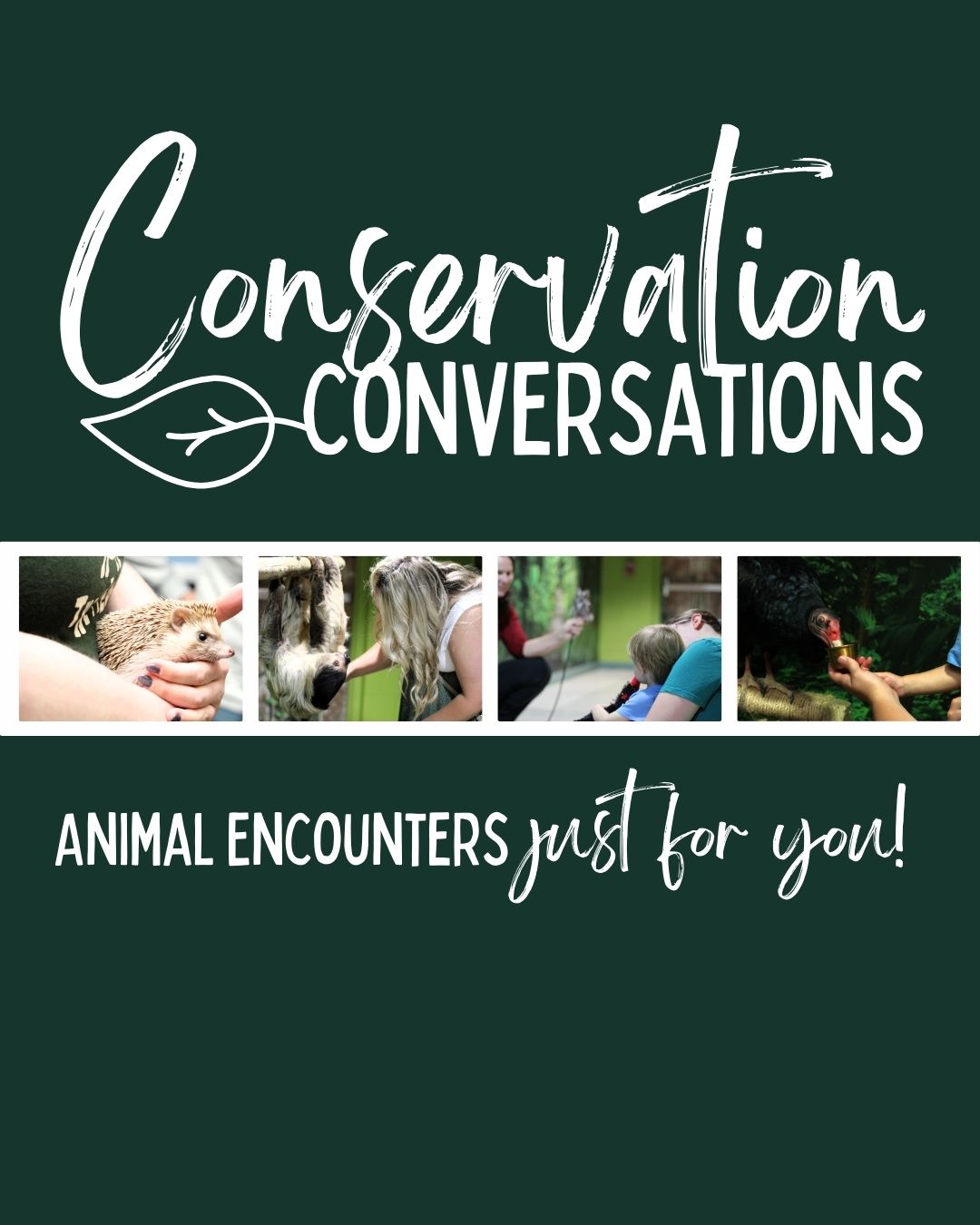 Conservation Conversations