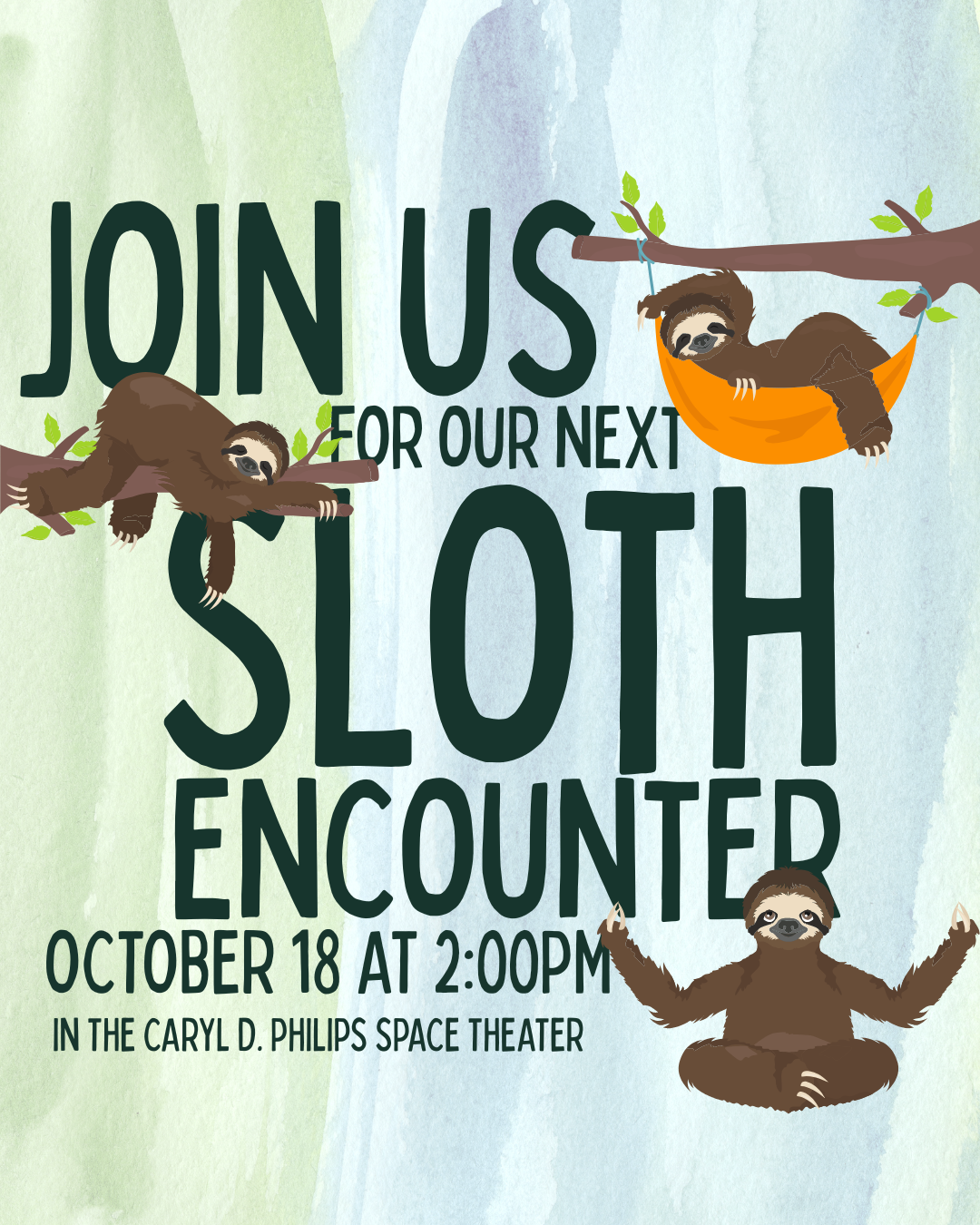 Sloth Encounter