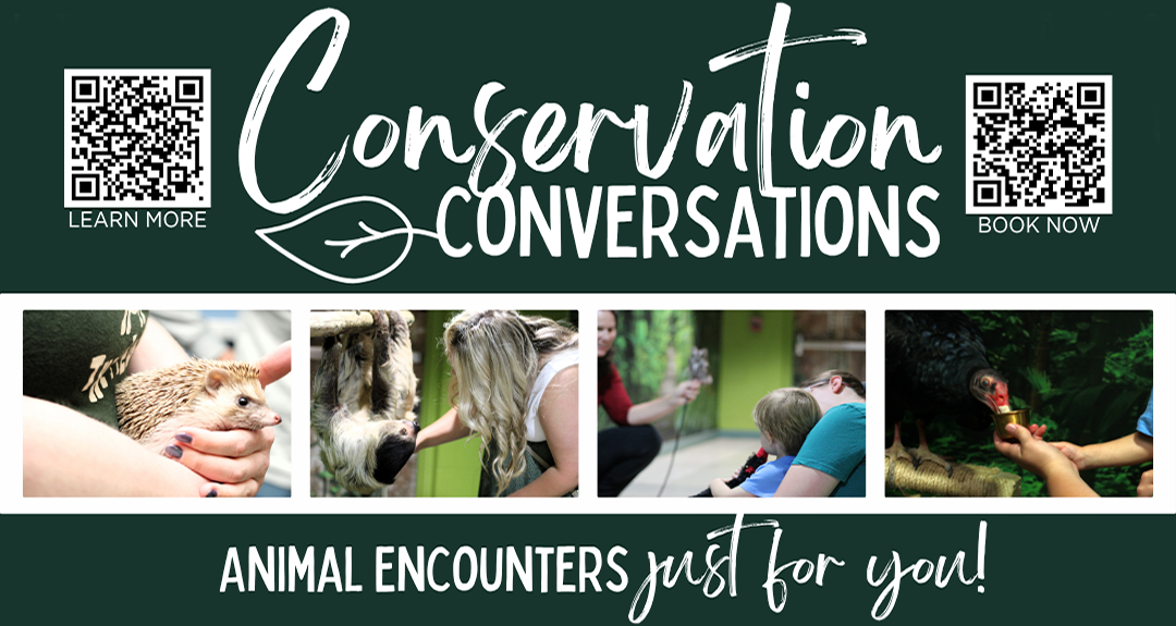 Conservation Conversations