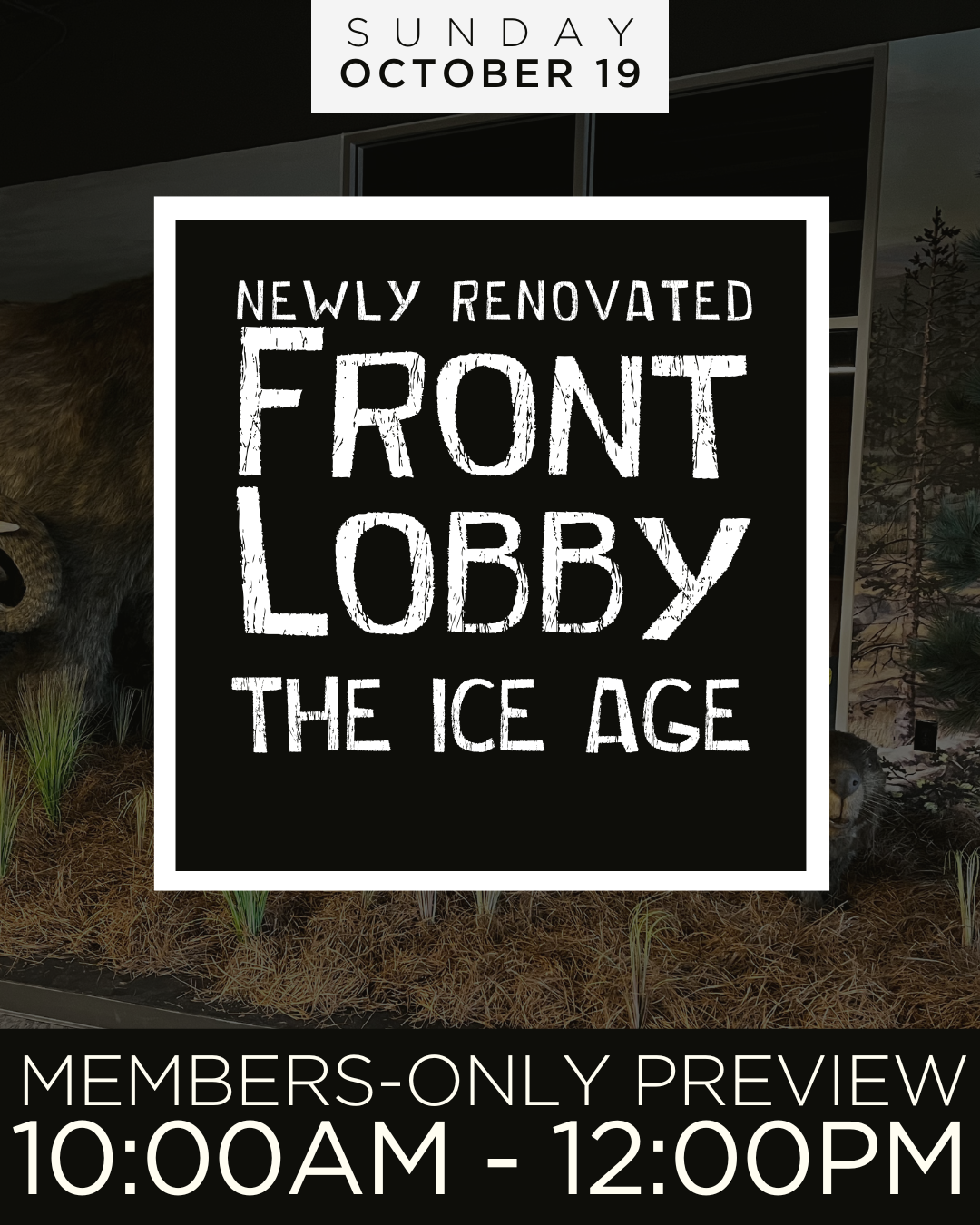 Members-Only Preview