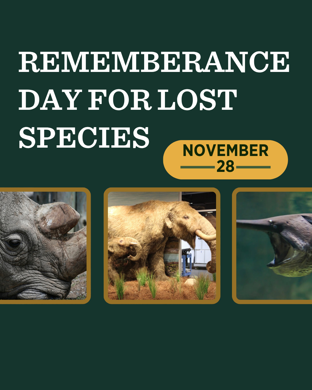 Lost Species Day