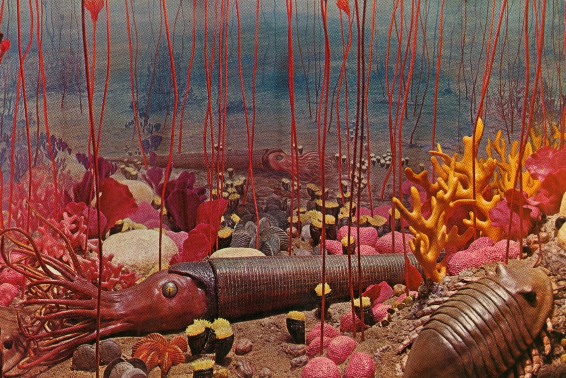 Caption: “Dayton Under the Sea”: a diorama of Ordovician life created in the 1950s that can be seen on display at the Boonshoft Museum of Discovery.