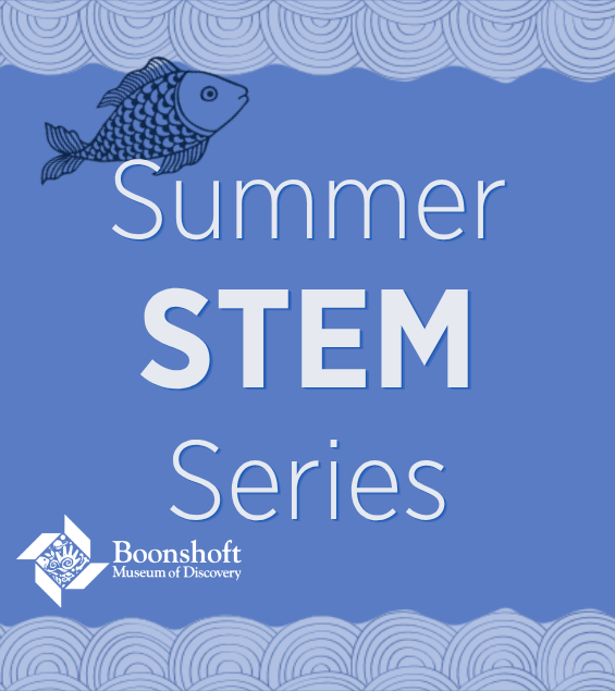 Summer STEM Series